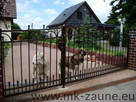 MK - Flugeltore - 39